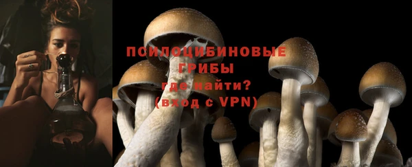 прущая мука Арсеньев