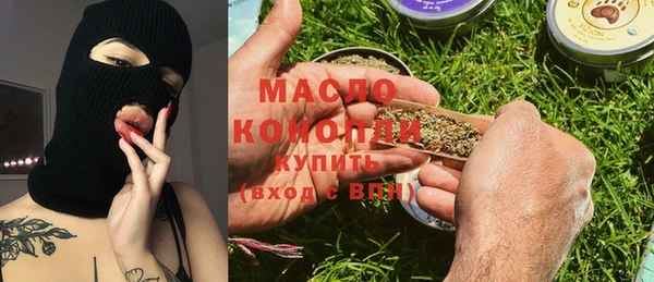 сатива Няндома
