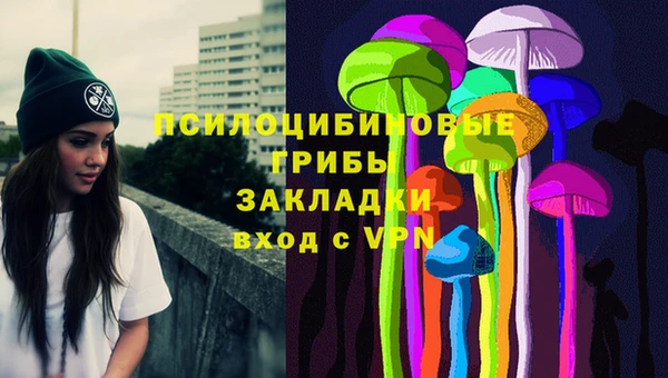 прущая мука Арсеньев