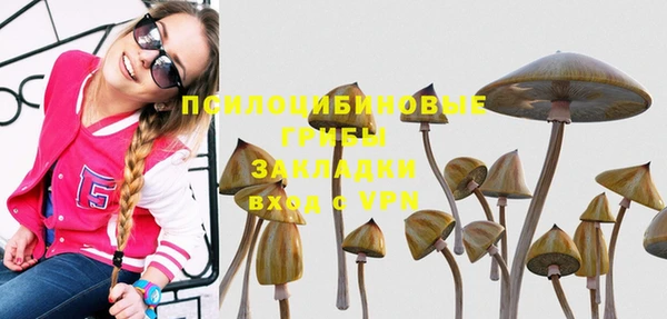 прущая мука Арсеньев