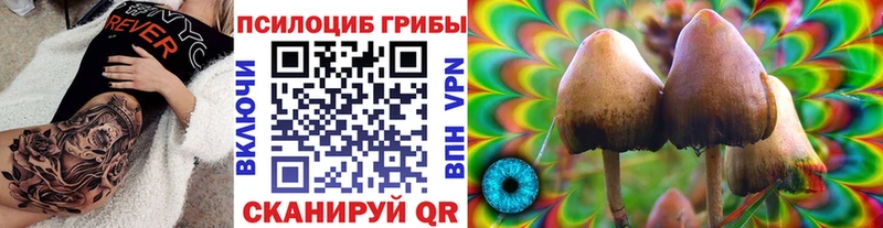 Галлюциногенные грибы Psilocybine cubensis  даркнет официальный сайт  Сарапул  где можно купить  